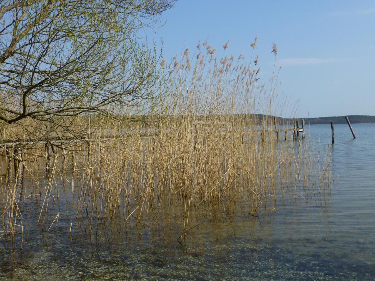 Villa Altes Fischerhaus Plau am See Exterior foto